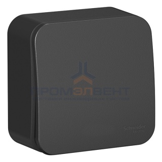 Выключатель 1-клавишный (cх.1) Blanca Schneider Electric 10А 250В антрацит изол.пластина